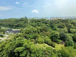 Normanton Park (D5), Apartment #594213471